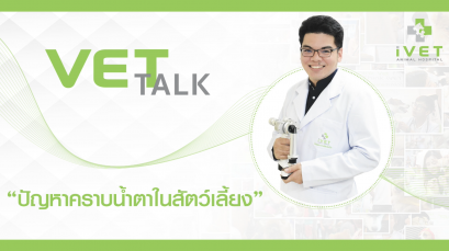 "ปัญหาคราบน้ำตาในสัตว์เลี้ยง"